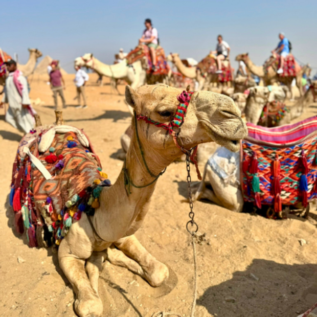 620 pixels placeholder image